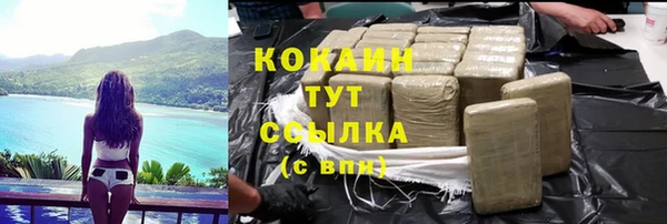 apvp Богородицк