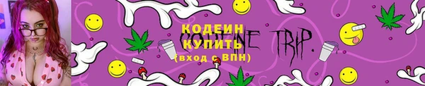 spice Рославль