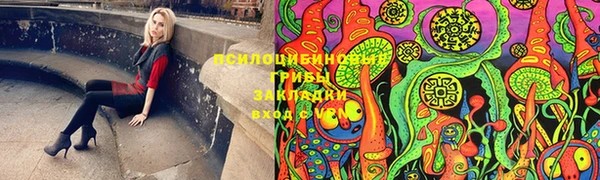 apvp Богородицк