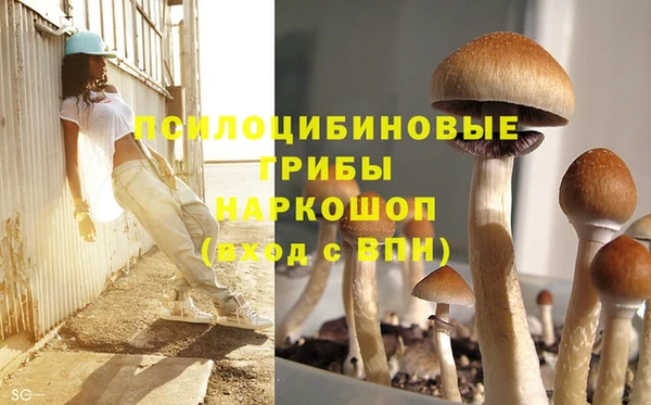 таблы Богородск