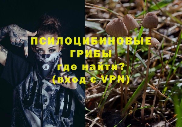 таблы Богородск