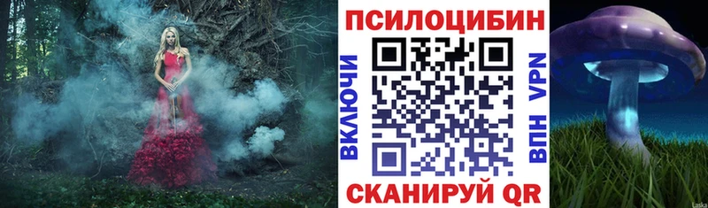 Псилоцибиновые грибы Psilocybine cubensis Щучье