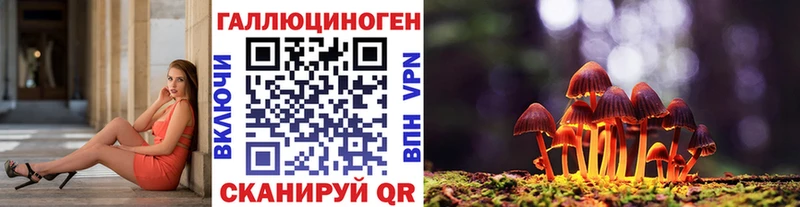 Псилоцибиновые грибы мицелий  Щучье 